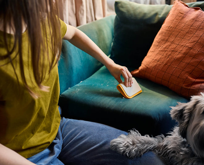 CleanTech™ 3-in-1 Pet Hair Cleaning Tool